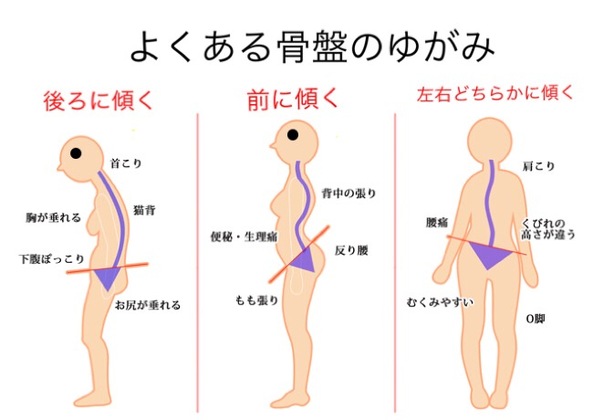 身体の土台とは？