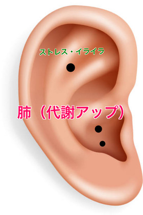 耳つぼダイエットの動画ご案内